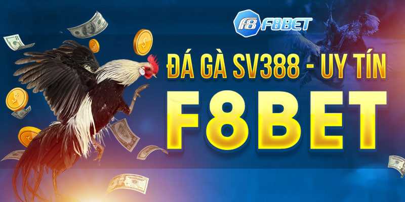 F8Bet - Trang đá gà trực tuyến uy tín nhất hiện nay